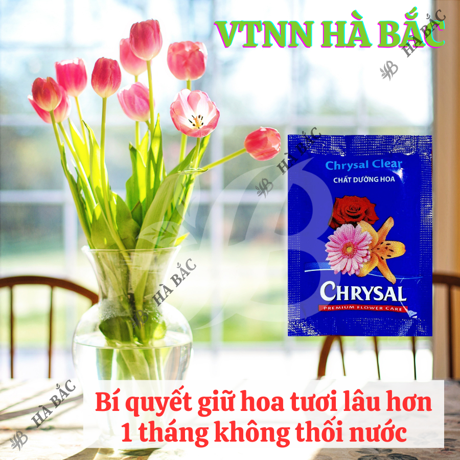 Dưỡng Hoa Lâu Tàn Chrysal - Chất dưỡng hoa tươi lâu dành cho hoa bình