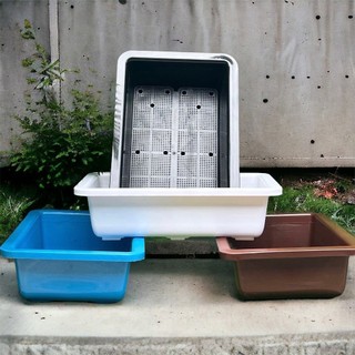 Combo 5 khay trồng rau cỡ lớn 65x43x15 cm