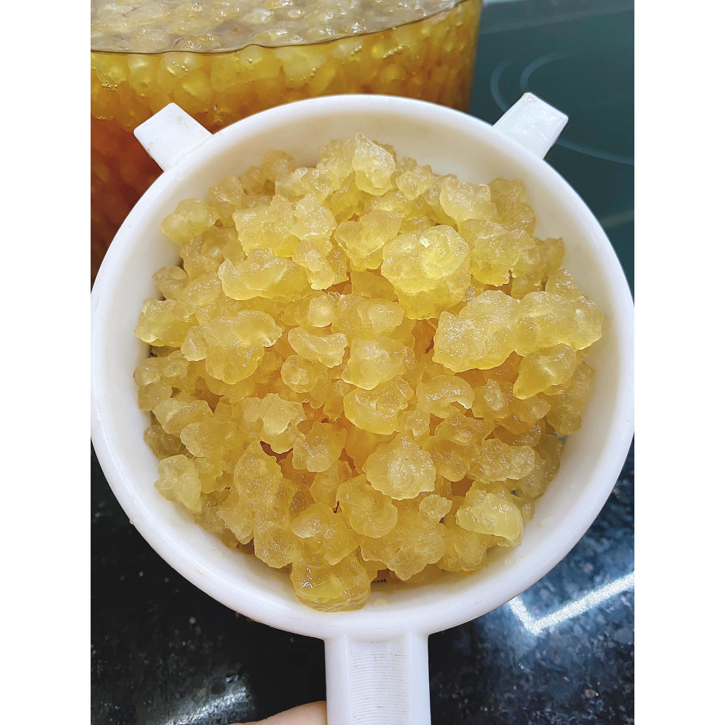 [FREESHIP] NẤM NƯỚC KEFIR, nấm kefir dừa, GIỐNG TO THUẦN CHỦNG- Kym Store