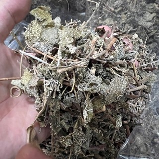 chè dây sạch 500g cao cấp
