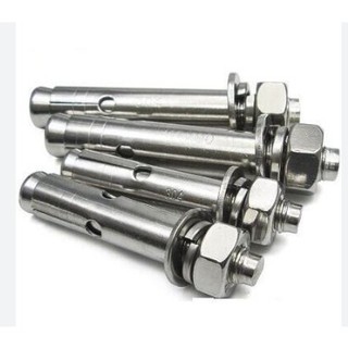 Nở inox, tắc kê inox M8x120, nở sắt inox, bộ 10 cái nở đinh inox