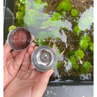 RỌ ĐỰNG TRÙN CHỈ INOX