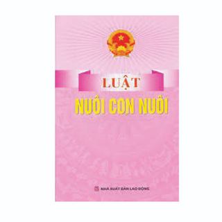 Sách - Luật Nuôi Con Nuôi