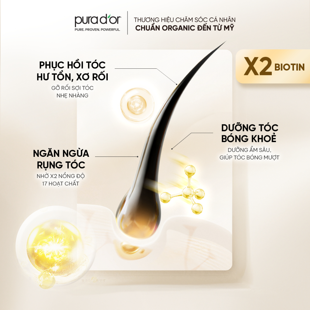 Combo Dầu Gội Dầu Xả Biotin 2X Professional Grade PURA DOR 473ml Organic Phục Hồi Hư Tổn Giảm Gãy Rụng Chuyên Sâu