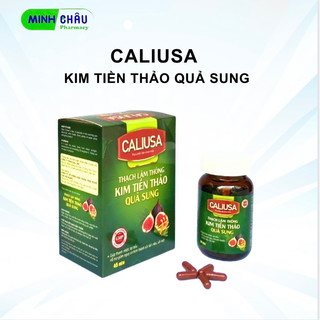 THẠCH LÂM THÔNG - KIM TIỀN THẢO QUẢ SUNG CALIUSA Hộp 45 viên