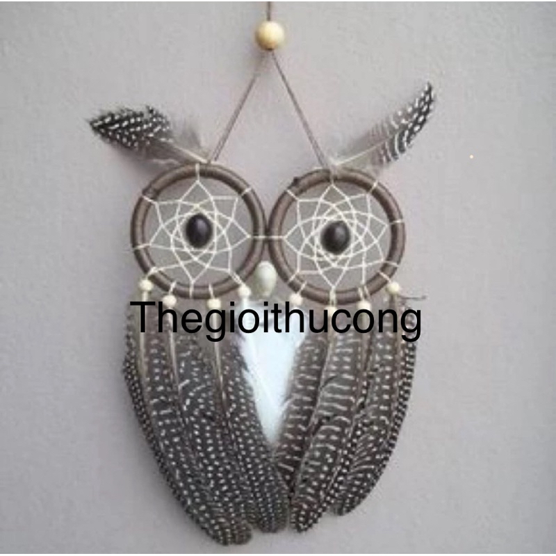 Dreamcatcher mắt cú