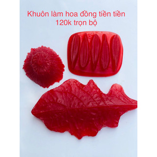 Khuôn Hoa đồng tiền