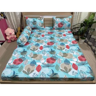 combo 4 món drap thun Hàn Quốc