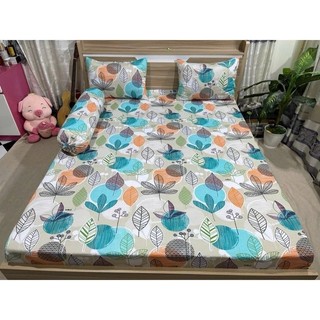 combo 4 món drap thun Hàn Quốc