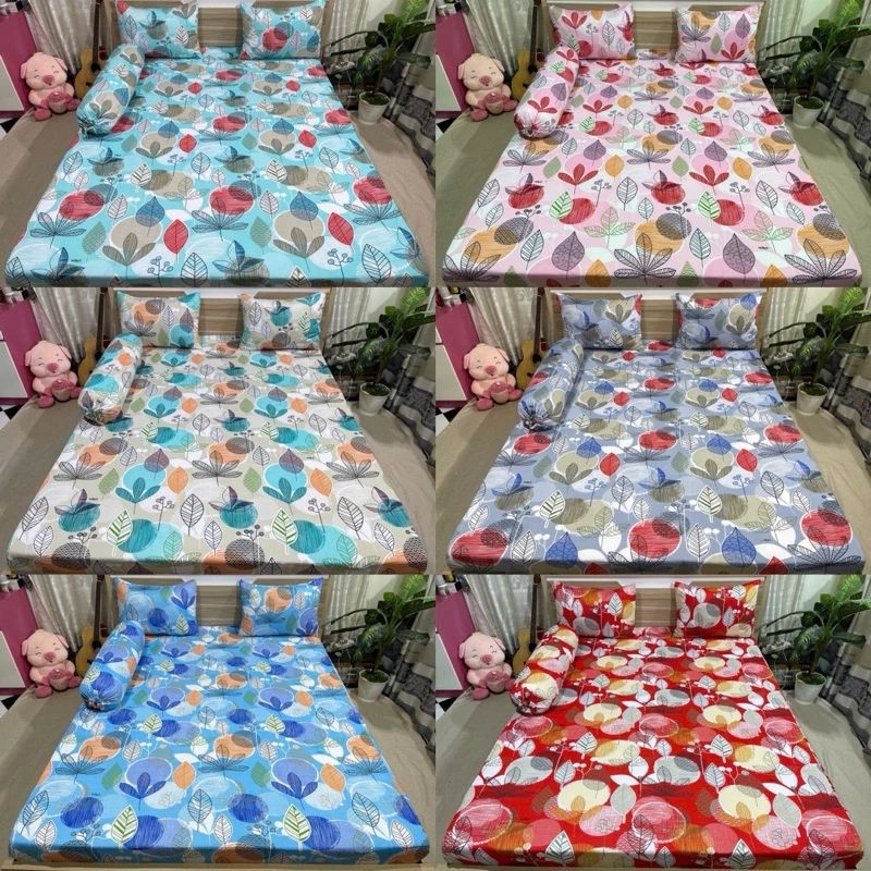 combo 4 món drap thun Hàn Quốc