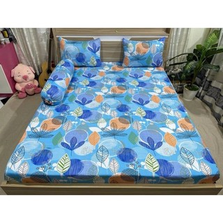 combo 4 món drap thun Hàn Quốc