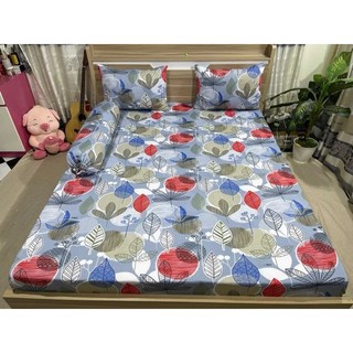 combo 4 món drap thun Hàn Quốc