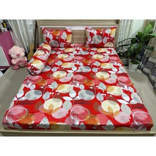 combo 4 món drap thun Hàn Quốc