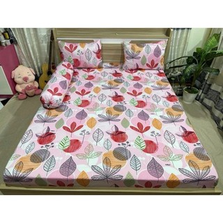 combo 4 món drap thun Hàn Quốc
