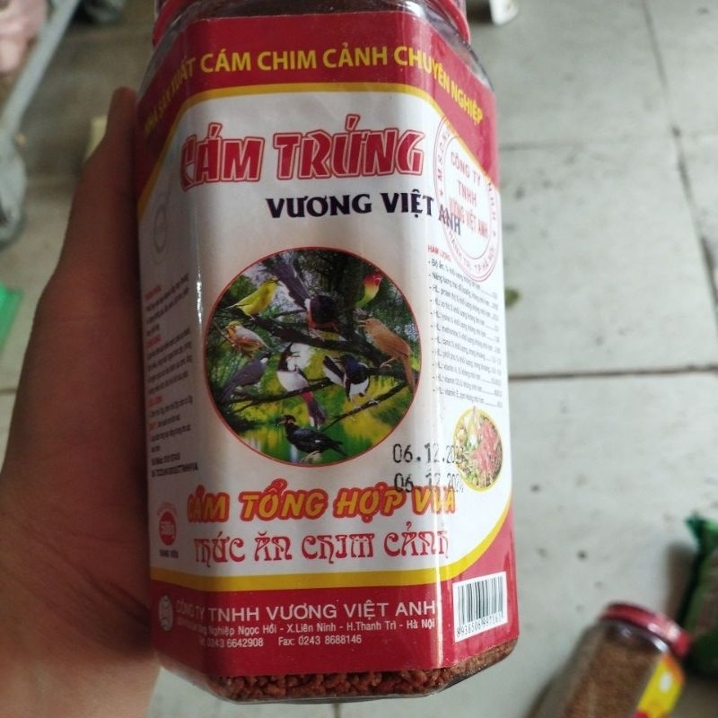 khám tổng hợp lọ của Vương Việt Ànhk mới