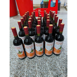 Combo 2 chai mật nho thái an quán
