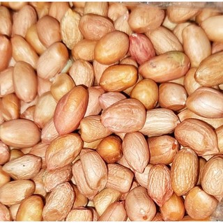 Đậu phộng sống 1kg hạt nhỏ đậu phộng tây ninh