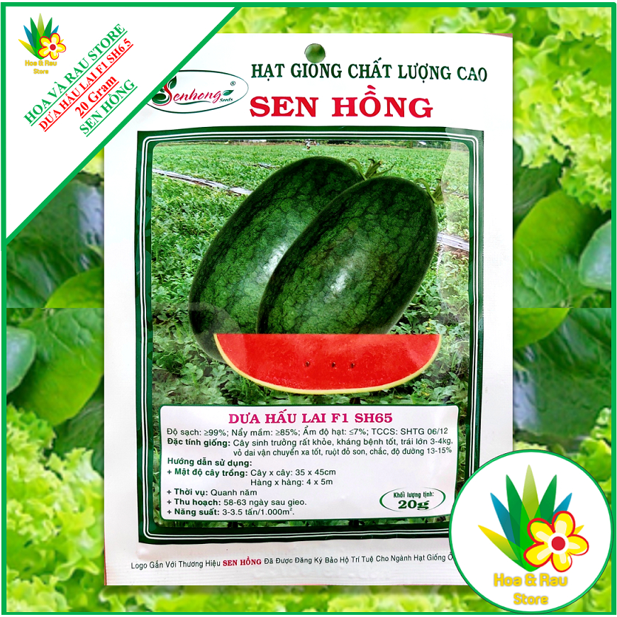 Hạt giống DƯA HẤU LAI F1 SH65 - 20Gram - Sen Hồng - Hoa và Rau Store