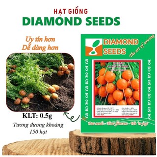 Hạt giống Cà Rốt Tròn dễ chăm sóc, sinh trưởng khỏe, trồng quanh năm Hạt giống Rau Củ Quả trồng quanh năm, nảy mầm tốt
