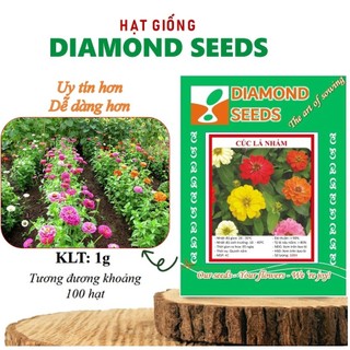 Hạt Giống Hoa Cúc Lá Nhám Mix Nhiều Màu trồng thảm hoặc chậu quanh năm Hạt giống Hoa Trồng Chậu dễ chăm sóc