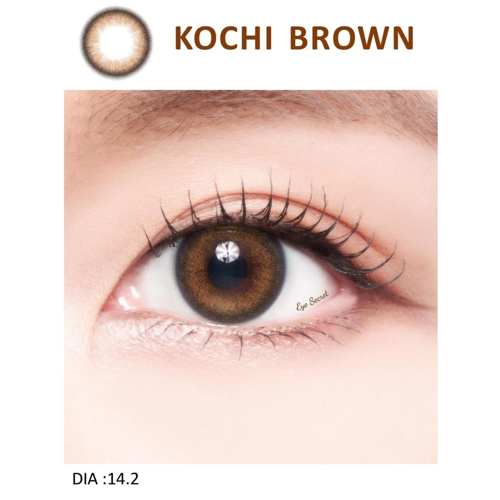 Kính áp tròng màu dùng 1 ngày Eye Secret Contact Lens KOCHI BROWN