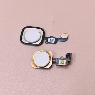 Nút home dành cho 5,5s,6,6s,6Plus,6SPlus