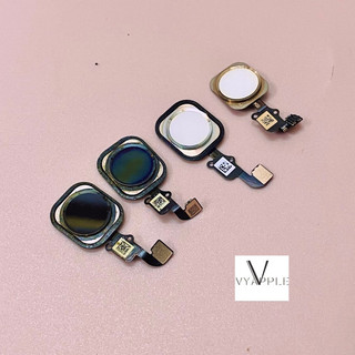 Nút home dành cho 5,5s,6,6s,6Plus,6SPlus