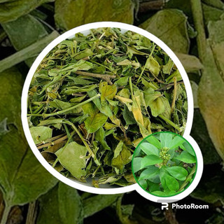 Dây thìa canh ổn định đường huyết(1kg)