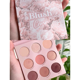 [BILL US] Bảng phấn mắt Colourpop Blush Crush 9 ô