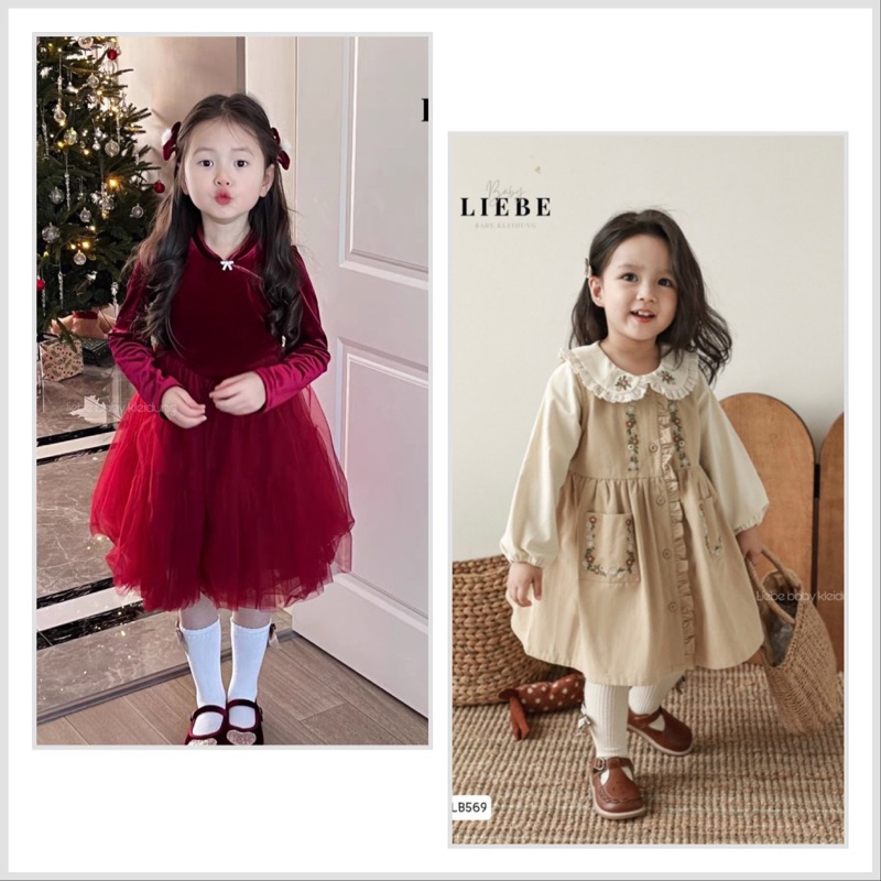 BD23121  VD2334  VD2335 Váy Liebe cao cấp BG