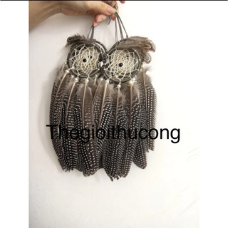 Dreamcatcher mắt cú