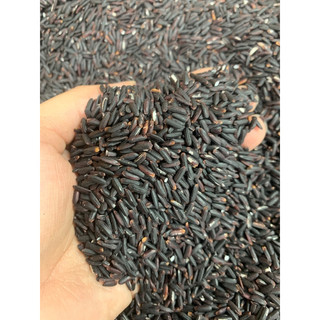 Túi 1kg gạo nếp than - gạo nếp cẩm