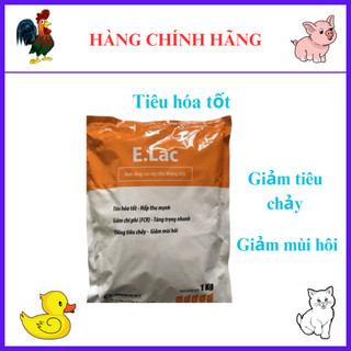 E.Lac (men sống chịu kháng sinh) 1kg