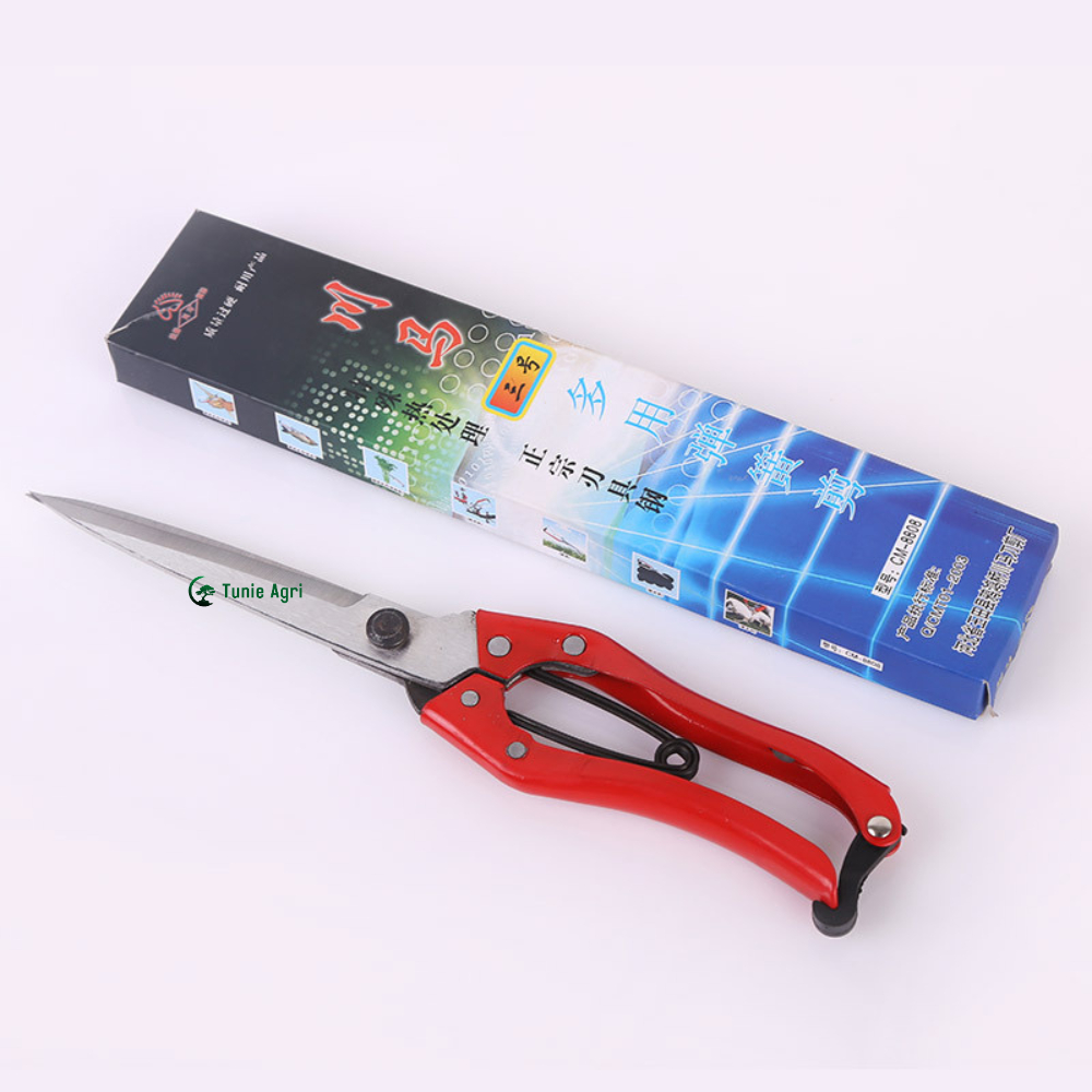 Kéo Cắt Tỉa Cây Cảnh Mũi Dài Nhật Bản - 3 Kích Thước