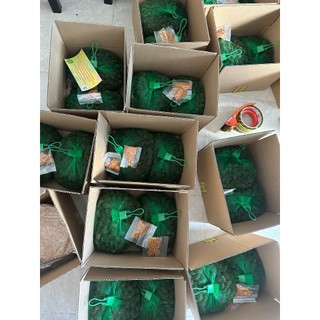 Trái say rừng tự nhiên 1kg tặng kèm muối