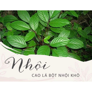 Bột nhội thần thánh (CAO BỘT NHỘI)