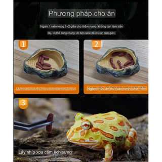 thức ăn chuyên dụng cho ếch pacman