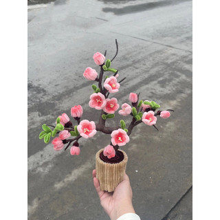 Chậu Hoa Bonsai mini chưng tết bằng kẽm nhung