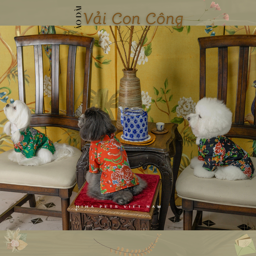 Áo Tết 2024 Cho Chó Mèo Vải Cao Cấp Quần Áo Tết Cho Thú Cưng Độc Quyền Mẫu Mã Chất Vải Hiha Pets VTT3