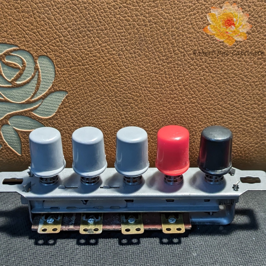 Công tắc quạt cây tròn 5 số