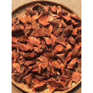 Cây mú từn khô - Tấn Phát - Túi lớn 1kg - Hỗ trợ cải thiện sinh lực phái mạnh