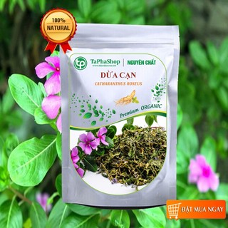 Cây dừa cạn sấy khô - Thảo dược Tấn Phát