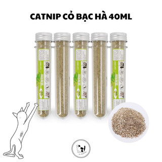 Catnip cỏ bạc hà cho mèo - Catnip ống 40g