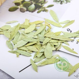 Phan tả diệp khô túi lớn 1kg - Tấn Phát - Trà thơm giúp ngăn ngừa táo bón