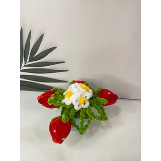Chậu hoa kẽm nhung để bàn