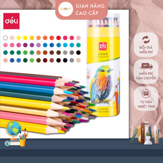 Bút chì màu deli 12/24/36/48 màu gốc dầu không độc hại gỗ tự nhiên lục giác màu tươi sáng trơn mịn dùng trong vẽ tranh