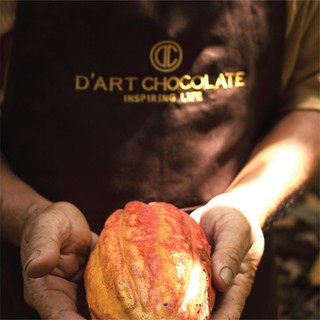 HỎA TỐC HCM-Socola Sữa Nguyên Chất Gold 30% Cacao 80g - D'art Chocolate/Quà tặng, ăn vặt cao cấp