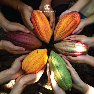 Socola Đen Nguyên Chất 70% Cacao 80g - D'art Chocolate
