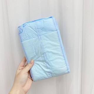 Bỉm Caryn Cho Mẹ Sau Sinh