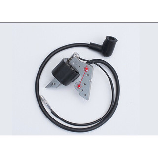 Mobin đánh lửa IC lửa Robin EY20 hàng cao cấp